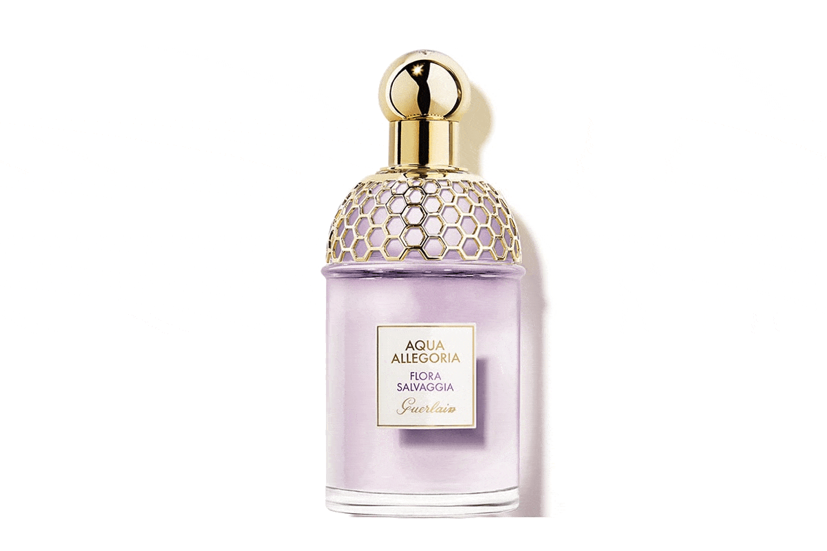 Tous nos parfums