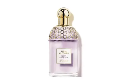 Tous nos parfums