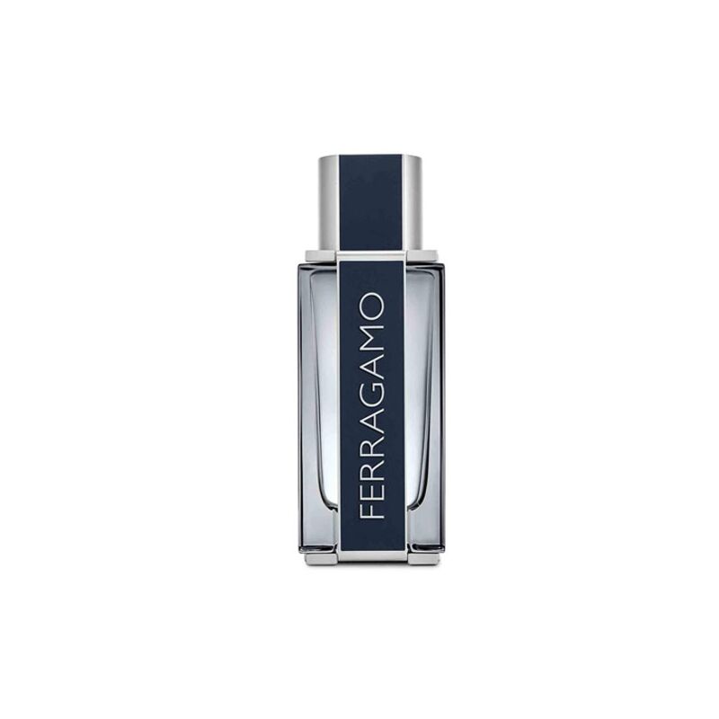 Salvatore Ferragamo Eau de Toilette pour homme 100ml 