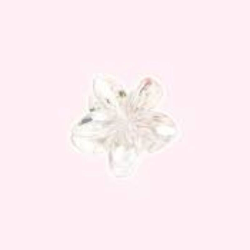FACELAB - GRANDE PINCE CHEVEUX BLANC