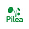 PILEA